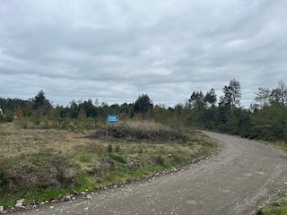 Ruta A Pargua ,alto Bonito ,parcela Uso Industrial.-