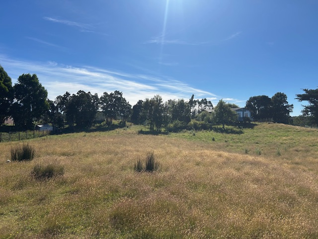 San Agustin, Terreno Vista Al Mar ,orilla Carretera.-