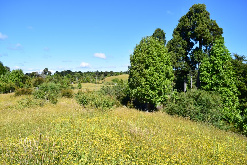 Estaquilla ,terreno Parque de Alerces ,exclusivo
