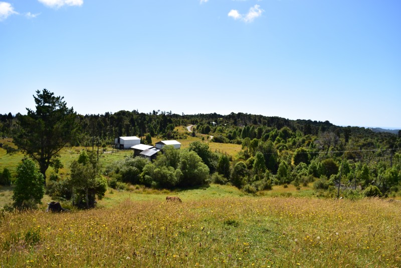 Estaquilla ,terreno Parque de Alerces ,exclusivo