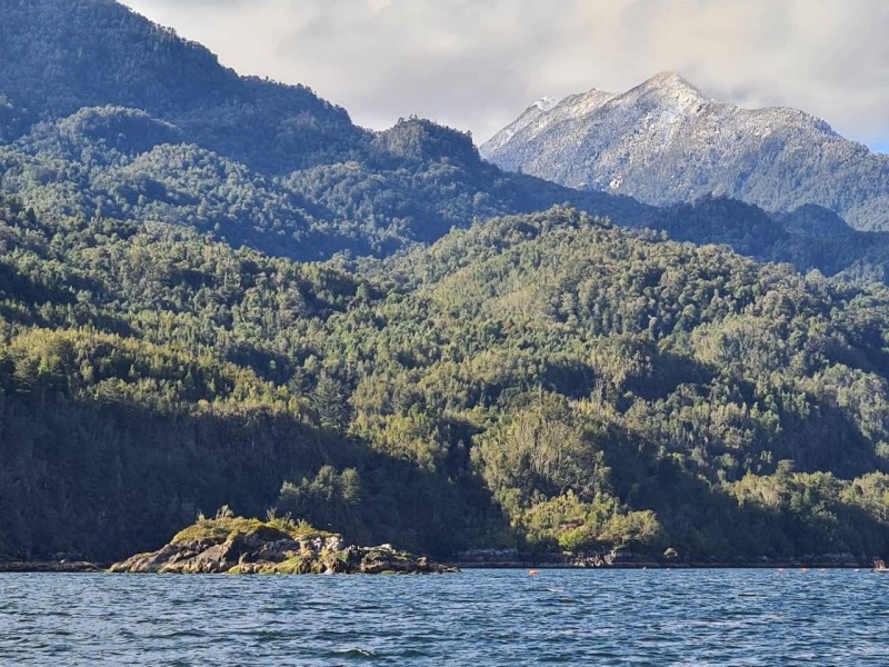 Estuario del Reloncavi ,propiedad Exclusiva