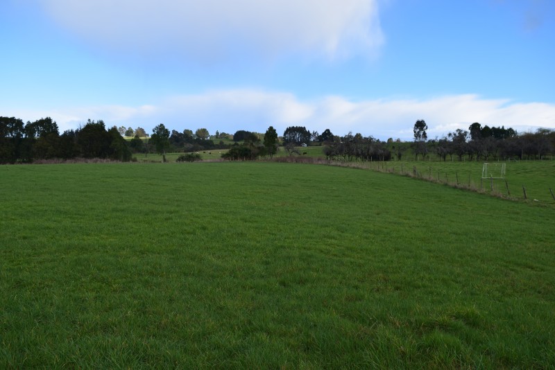 los Muermos ,exclusivo Orilla de Carretera.-