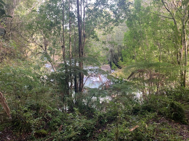 Hornopiren ,orilla de Rio y Cascadas.