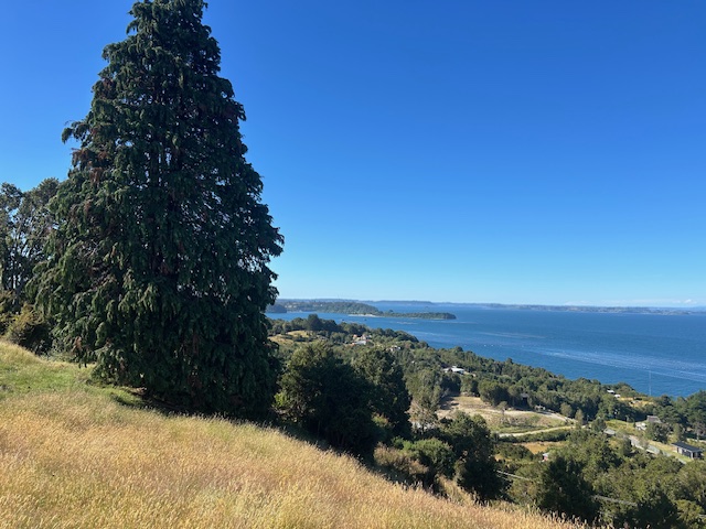San Agustin, Terreno Vista Al Mar ,orilla Carretera.-