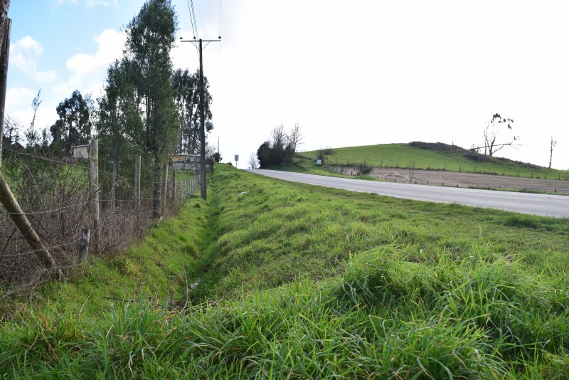 los Muermos ,exclusivo Orilla de Carretera.-