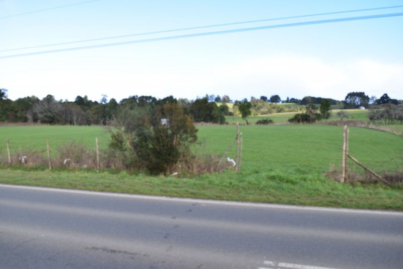 los Muermos ,exclusivo Orilla de Carretera.-