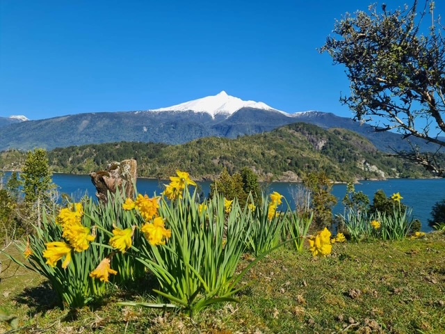 Estuario del Reloncavi ,propiedad Exclusiva