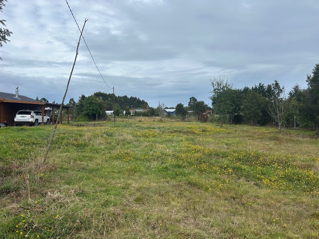 Panitao Casa y Terreno Orilla de Carretera.-