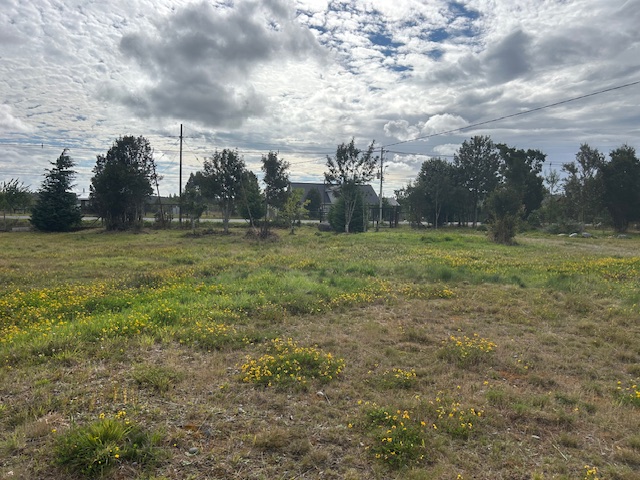 Panitao Casa y Terreno Orilla de Carretera.-