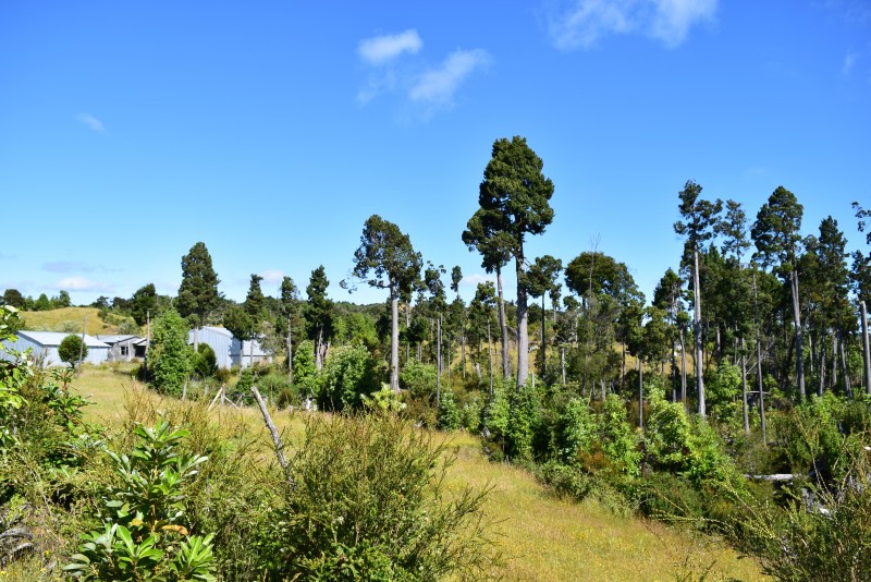 Estaquilla ,terreno Parque de Alerces ,exclusivo