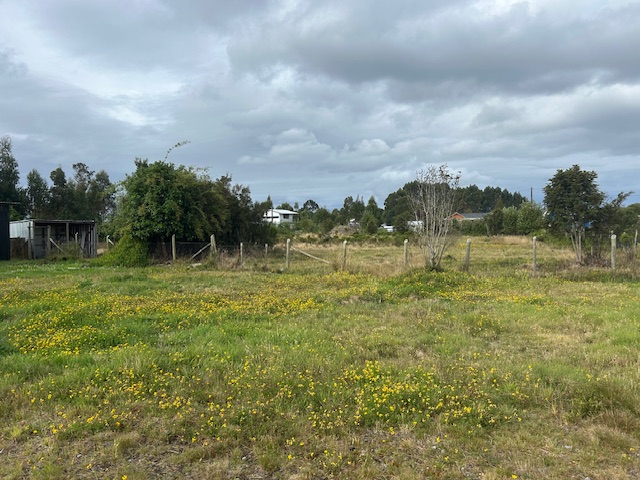Panitao Casa y Terreno Orilla de Carretera.-