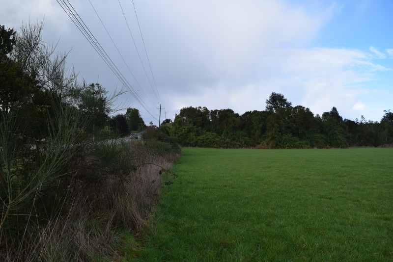 los Muermos ,exclusivo Orilla de Carretera.-