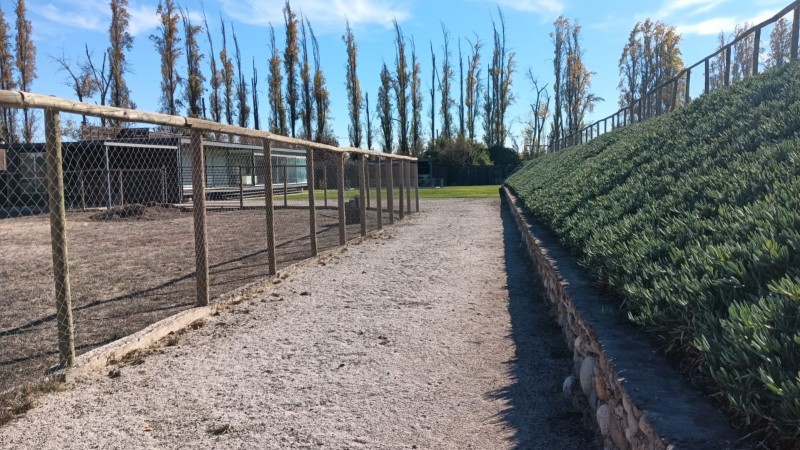 Moderna y Luminosa Casa en Arriendo Con Acceso Independiente