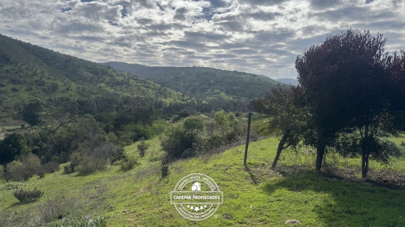 Vende Parcela de 180 Hectáreas en la Ligua