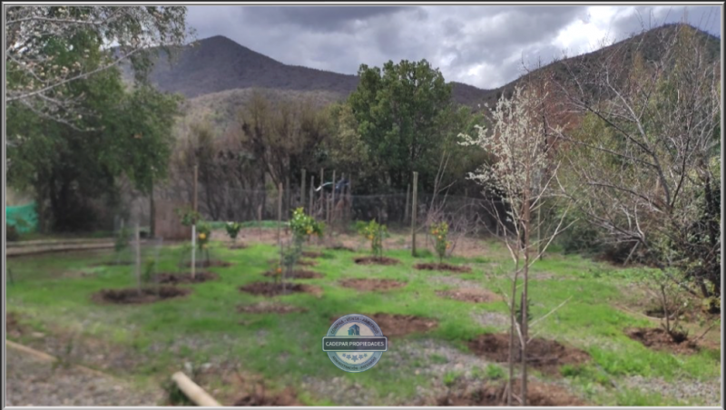 Arrienda Hermosa Parcela en los Naranjos Curacavi