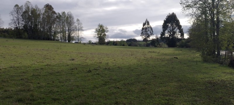 Se Venden Hermosas Parcelas Sector Tegualda