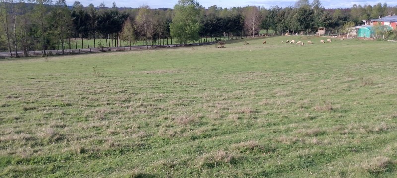 Se Venden Hermosas Parcelas Sector Tegualda