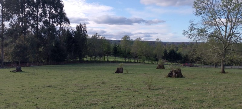 Se Venden Hermosas Parcelas Sector Tegualda