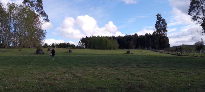 Se Venden Hermosas Parcelas Sector Tegualda