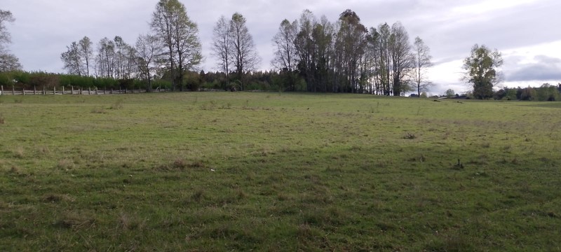 Se Venden Hermosas Parcelas Sector Tegualda