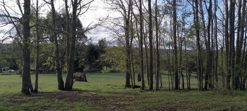 Se Venden Hermosas Parcelas Sector Tegualda