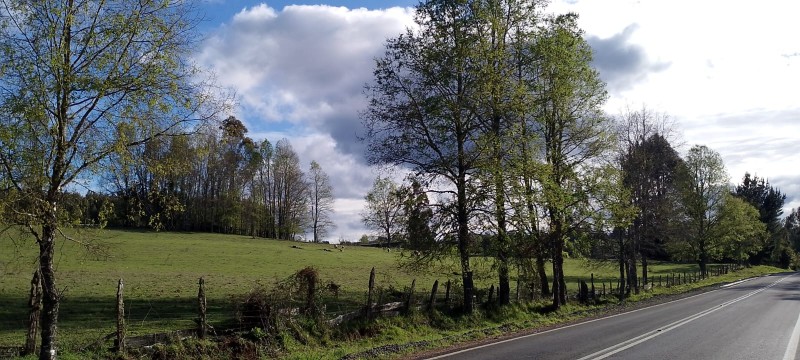 Se Venden Hermosas Parcelas Sector Tegualda