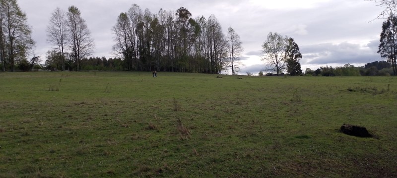 Se Venden Hermosas Parcelas Sector Tegualda