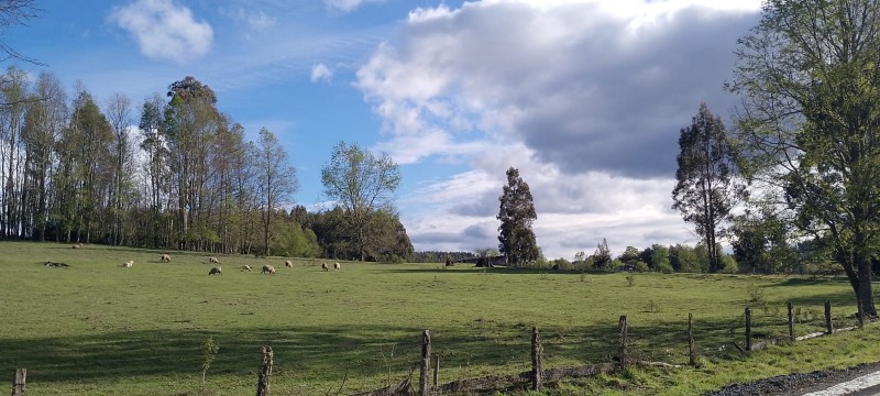 Se Venden Hermosas Parcelas Sector Tegualda