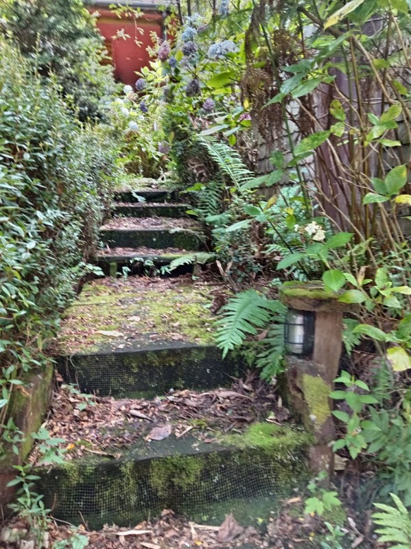Se Vende Hermosa Parcela Con Casa Vista Al Mar