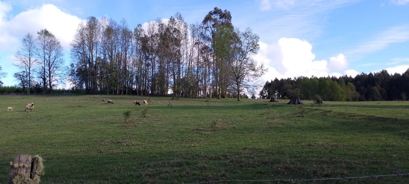 Se Venden Hermosas Parcelas Sector Tegualda