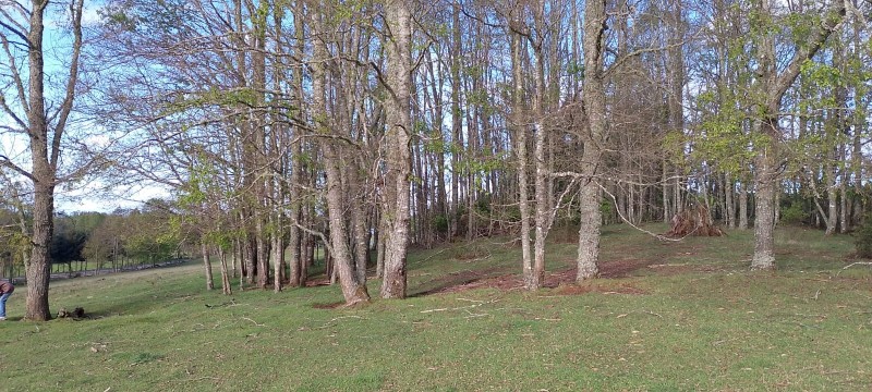 Se Venden Hermosas Parcelas Sector Tegualda