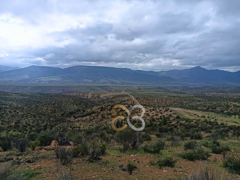 Parcela las Higuerillas