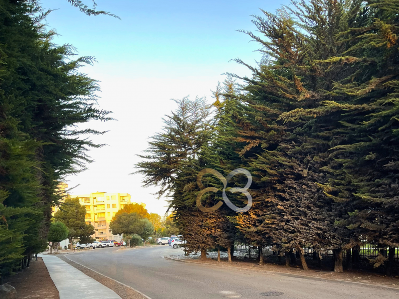 Departamento Condominio Fray Jorge