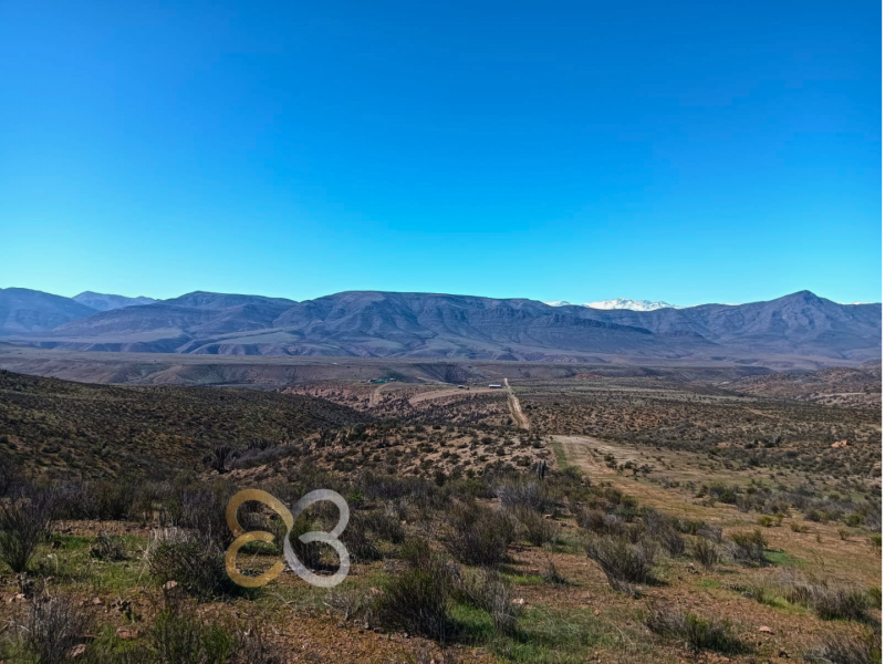 Parcela las Higuerillas