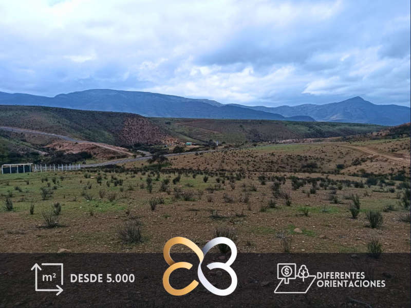 Fotografía de Parcela las Higuerillas