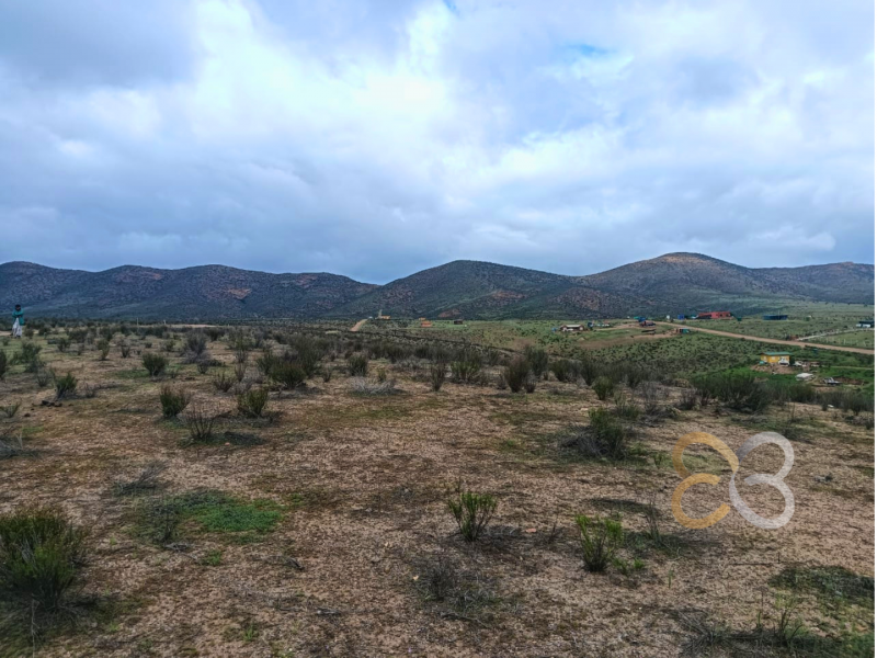 Parcela las Higuerillas