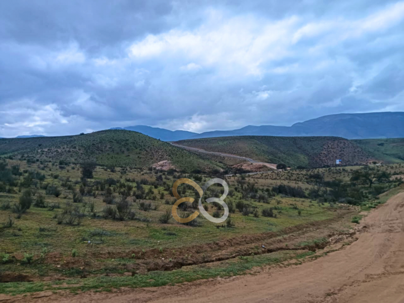 Parcela las Higuerillas