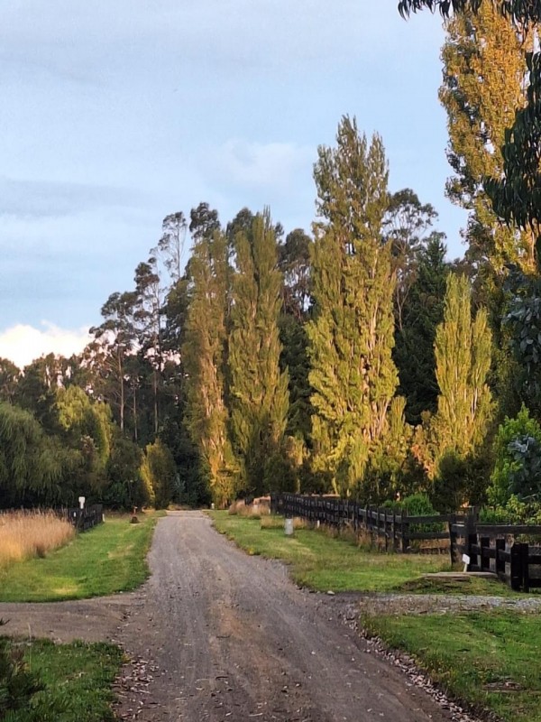 Parcela 5000 M2 Puerto Varas Condominio Idanmapu Ca.ensenada