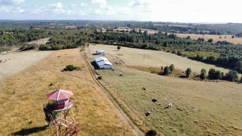 Terreno Agricola Ganadero 13 Hectarias. los Muermos