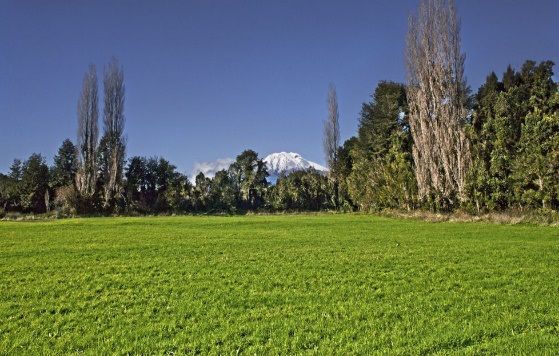 Parcela 5000 M2 Puerto Varas Condominio Idanmapu Ca.ensenada