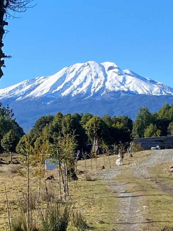 Se Vende Parcela en Colonia Tres Puentes, Puerto Varas.