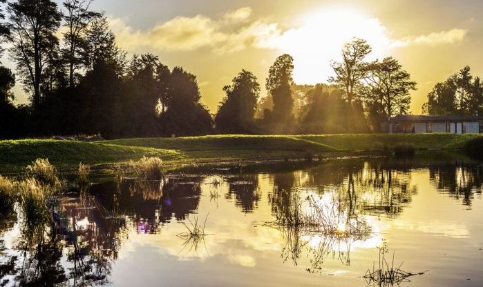 Parcela 5000 M2 Puerto Varas Condominio Idanmapu Ca.ensenada