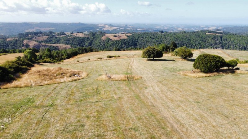 Terreno Agricola Ganadero 13 Hectarias. los Muermos