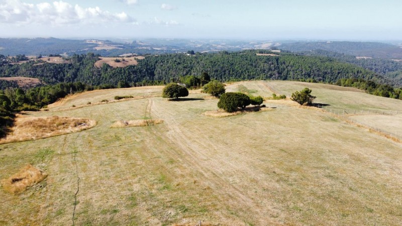 Terreno Agricola Ganadero 13 Hectarias. los Muermos