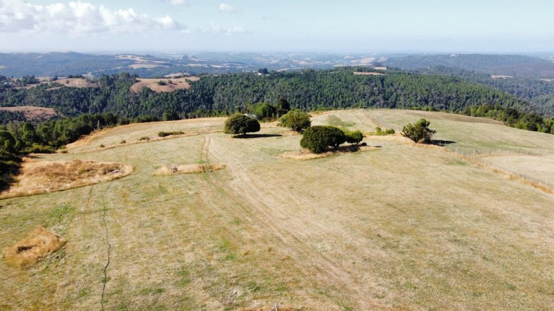 Terreno Agricola Ganadero 13 Hectarias. los Muermos