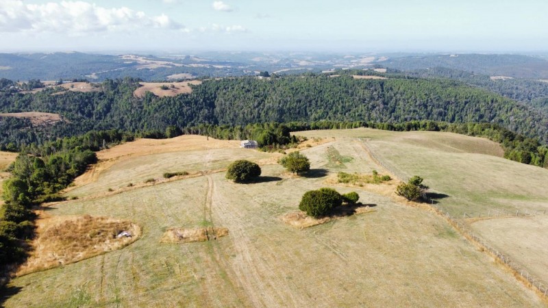Terreno Agricola Ganadero 13 Hectarias. los Muermos