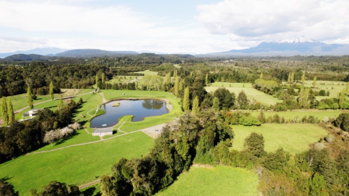 Fotografía de Parcela 5000 M2 Puerto Varas Condominio Idanmapu Ca.ensenada