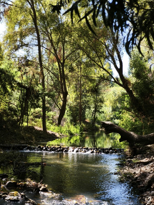Parcela 2.8 Hectáreas Entrada Rari Con Agua Potable