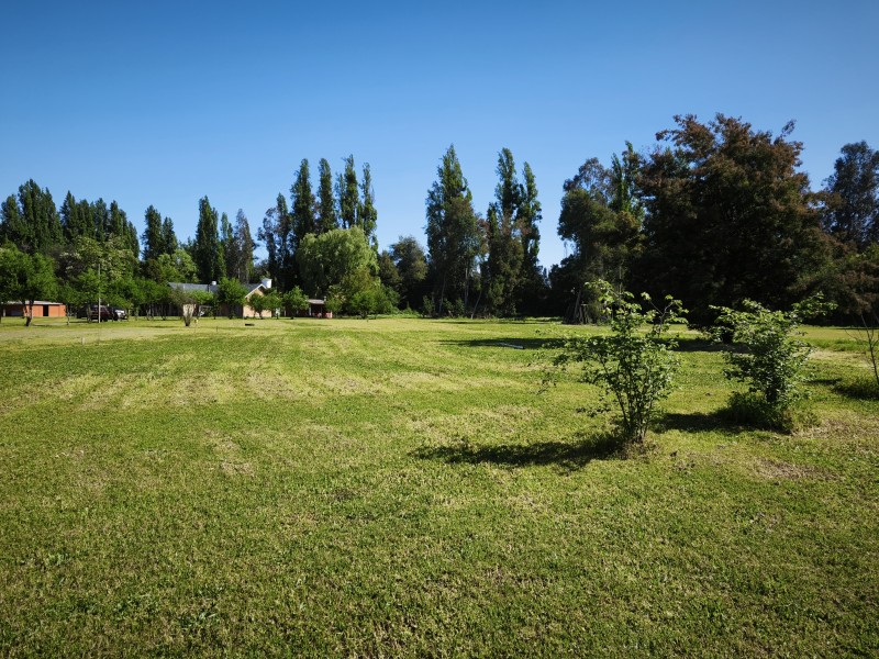 Casa Estilo Mediterráneo en Parcela de 7.000 M² – Linares.