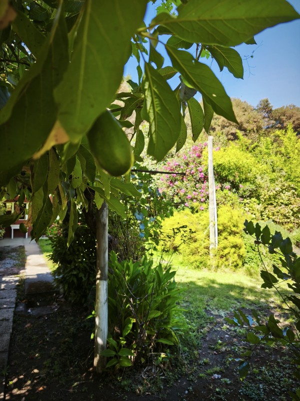 Parcela 2.8 Hectáreas Entrada Rari Con Agua Potable